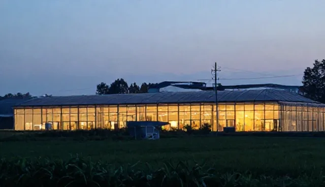 企业展示套餐推广中的检查要点与使用建议