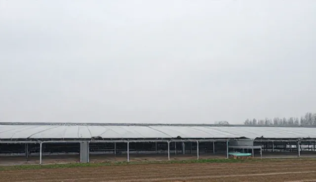 企业名录推广效果常见误区与实际应用分析